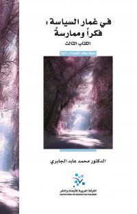 في غمار السياسة: فكراً وممارسةً (الكتاب الثالث)